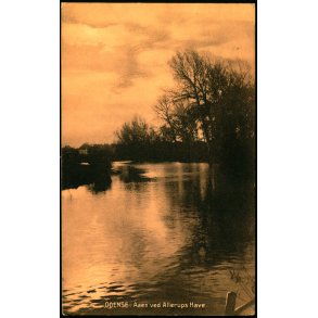 Odense - Aaen ved Allerups Have - Hjalmar Grupes Bogh. u/n - Brugt