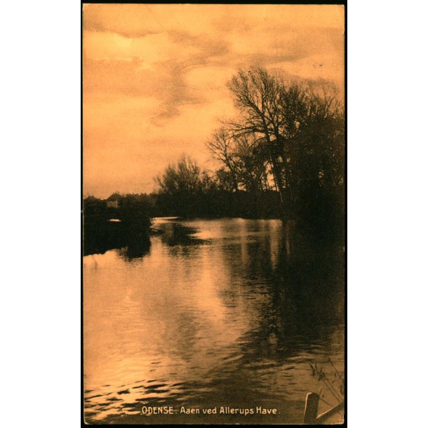 Odense - Aaen ved Allerups Have - Hjalmar Grupes Bogh. u/n - Brugt