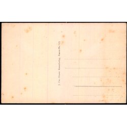 Vagtparaden p Amalienborg - Chr. Olsen 572