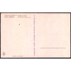 Kbenhavn - Zoologisk Have - Giraffer med Unger. - K. Witt-Mller 6700 - 71