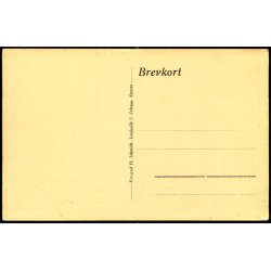 Odense - Den nye Banegaard - H. Schmidt Eneret u/n - Ubrugt