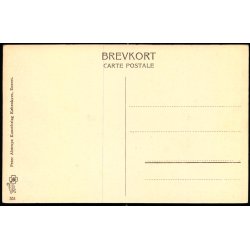 Odense - Aaen med Frederiksbroen - Peter Alstrup 551 - Ubrugt