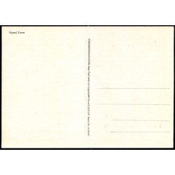 Nysted - Torvet - Svendsens Bogh. 143 309 007 - Ubrugt