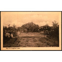 Parti fra Laugesens Have - J. Lund 31 - Ubrugt