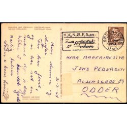 Kbenhavn - Zoologisk Have - Giraffer med Unger. - K. Witt-Mller 6700 - 71