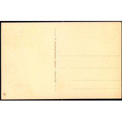 Odense - Kongens Have - T. Stenstrup-Jensen 550 - Ubrugt