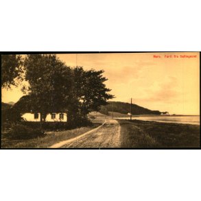 Mors - Parti fra Sallingsund - u/n - Ubrugt