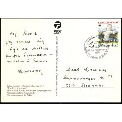 Kajakker i storisen - Peter Rosing - Post Greenland 122/99 - Brugt