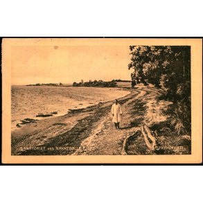 Sanatoriet ved Nakkeb�lle Fjord - Strandparti - M. Mikkelsen /J.J.N. 9369 - Brugt