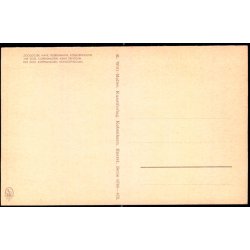 Kbenhavn - Zoologisk Have - Kongepingvin - K. Witt-Mller 6700 - 475