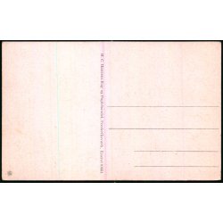 Rekonvalescenthjem Arres�dal - H. C. Hansens Bogh. 81664 - Ubrugt