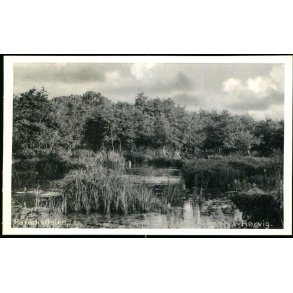 Paradisdalen - R�rvig - Poul Helms 76665