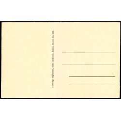 Bornholmsk Runesten - Colbergs Bogh. 245