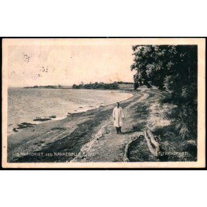 Sanatoriet ved Nakkeb�lle Fjord - Strandparti - M. Mikkelsen /J.J.N. 3070 - Brugt