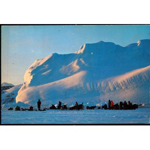 Hundeslde venter p skibstransport ved Kap Dan - Rolf Mller u/n - Brugt