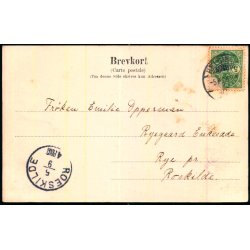 Hilsen fra Marienlyst - Parken - J.M. 200 - Brugt