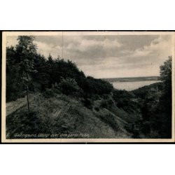 Sallingsund - Udsigt over den gamle Hulvej - M. Farcinsen-Leth 290 - Brugt