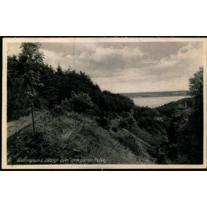 Sallingsund - Udsigt over den gamle Hulvej - M. Farcinsen-Leth 290 - Brugt