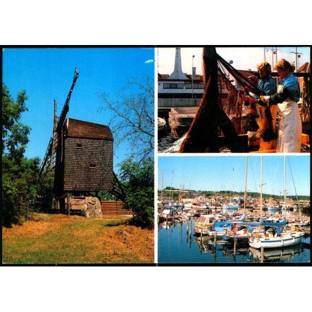 Bornholm - Partier fra  Tejn - Colbergs Bogh. 8386 - Brugt