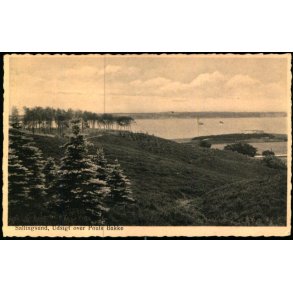 Sallingsund - Udsigt over Pouls Bakke - Rudolf Olsen 5564 - Ubrugt