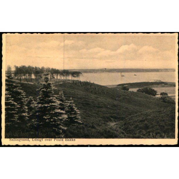 Sallingsund - Udsigt over Pouls Bakke - Rudolf Olsen 5564 - Ubrugt