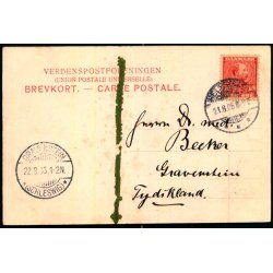 Hilsen fra Marienlyst - Parken med Badehotellet - Bjerregaard 230 - Brugt