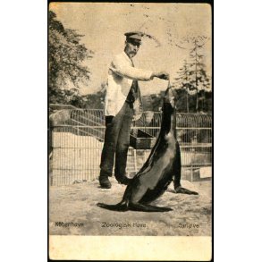 Kbenhavn - Zoologisk Have - Slverne Fodres - Quist & Komp u/n