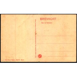 Roskilde - Algade - Bruuns u/n - Ubrugt