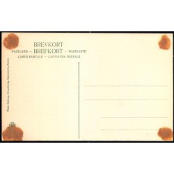 Fuglsang - Peter Alstrup 1895 - Ubrugt - Limrest !