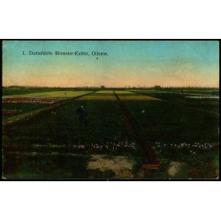 L. D�hnfeldts Blomster-Kultur - Odense - BPM 2015 - Brugt