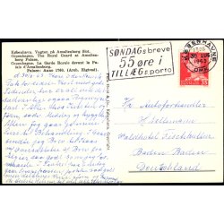 Kbenhavn - Vagten ved Amalienborg Slot - Palle Hvid &amp; Co. 551