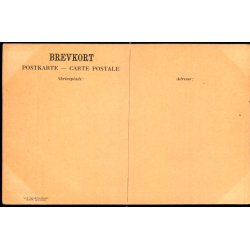 Indisk Kvlerslange - Quist &amp; Komp u/n