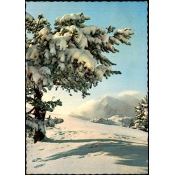 Grnland - Vita Nova u/n - Brugt