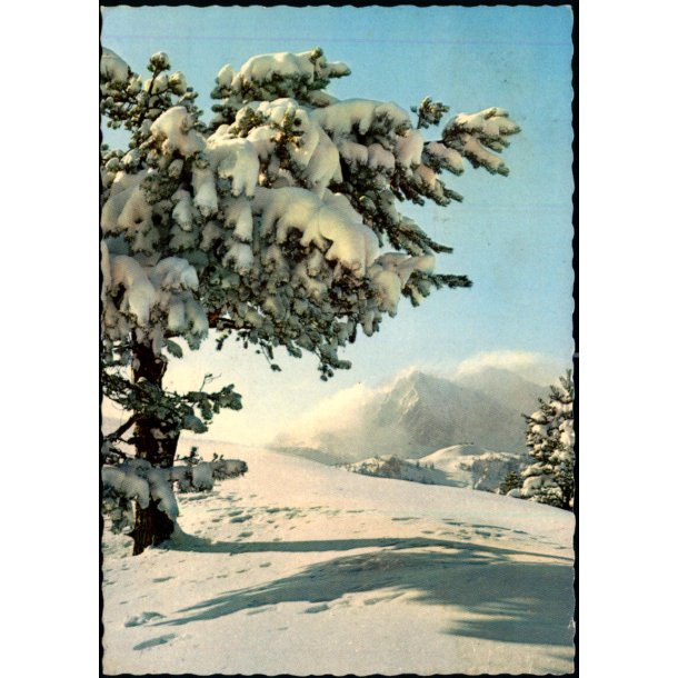 Grnland - Vita Nova u/n - Brugt