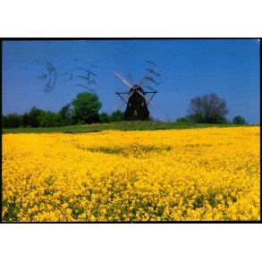 R�rvig M�lle  - Trojaborgs Forlag R� 6