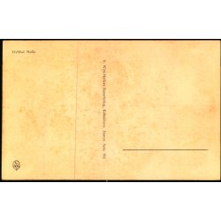 Dybb�l-M�lle - K. Witt-M�ller 584 - Ubrugt