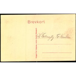 Holstenshus  - Carl Johansen u/n - Ubrugt