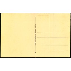 Parti fra Laugesens Have - Brejning - Johs. Lund 29 - Ubrugt