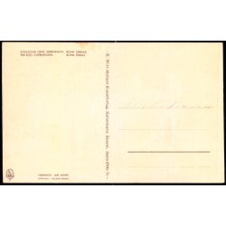 Kbenhavn - Zoologisk Have - Bohm Zebraer - K. Witt-Mller 6700 - 70