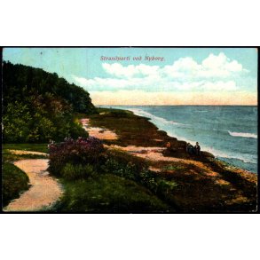 Strandparti ved Nyborg - C.F. 585 - Brugt