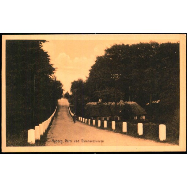 Nyborg - Parti ved Dyrehaveskoven - Stender 33595 - Ubrugt