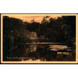 Parti fra Brahetrolleborg - Stender 33073 - Ubrugt