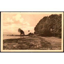 Svendborg - Parti fra Tankefuld - Stender S. 144 - Ubrugt