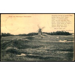 Parti ved Marielyst stersbad - Mackenprangs Bogh. 4447 - Brugt