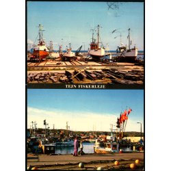 Tejn Fiskerleje - W.Dams Bogh. 6054 - Brugt