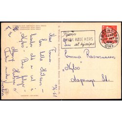 Kbenhavn - Zoologisk Have - Bohm Zebraer - K. Witt-Mller 6700 - 70