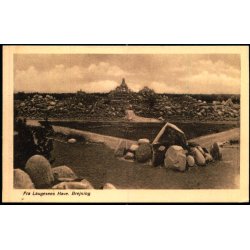 Parti fra Laugesens Have - Brejning - Johs. Lund 29 - Ubrugt