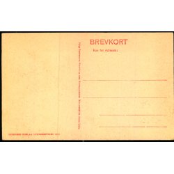 Nyborg - Slottet med Slotsgraven - Stender 2495 - Ubrugt