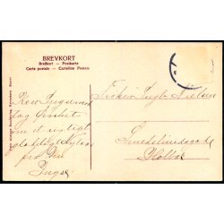 Fuglsang - Peter Alstrup 1896 - Brugt