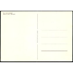 Den store spisesal - Aalholm Slot - O.P.O. 7513 - 2 - Ubrugt